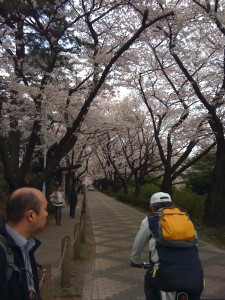 青山霊園