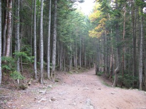 登山道